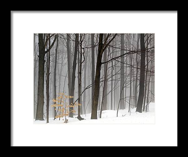 Country Framed Print featuring the photograph A Little Color by Vickie Szumigala