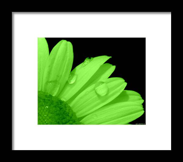 A Little Lime On Twist Framed Print featuring the photograph A Little Lime on Twist by Edward Smith