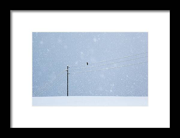 Snow Framed Print featuring the photograph A Long Day In Winter by Uschi Hermann