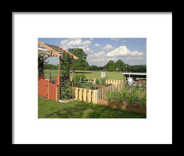 Field Framed Print featuring the painting A Look At Growing Garden by Edward Pebworth