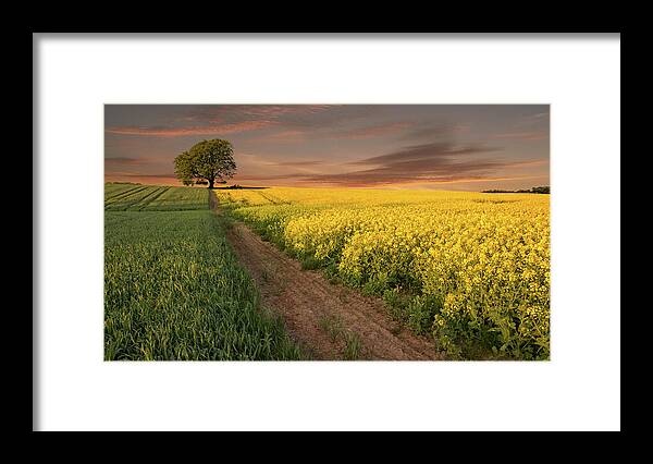 Tranquility Framed Print featuring the photograph A Lovely Evening In The Sweet Month Of by Nick Brundle Photography