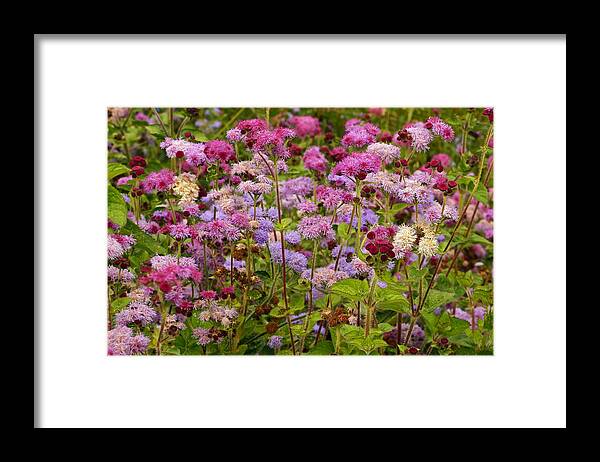 Colorful Small Flower Group Framed Print featuring the photograph A Lovely Fall Palette by Byron Varvarigos