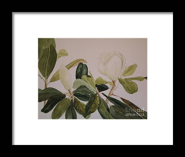 Magnolia Leaves Are As Interesting To Paint As The Flowers. So Many Shades Framed Print featuring the painting A Magnolia Duet by Nancy Kane Chapman