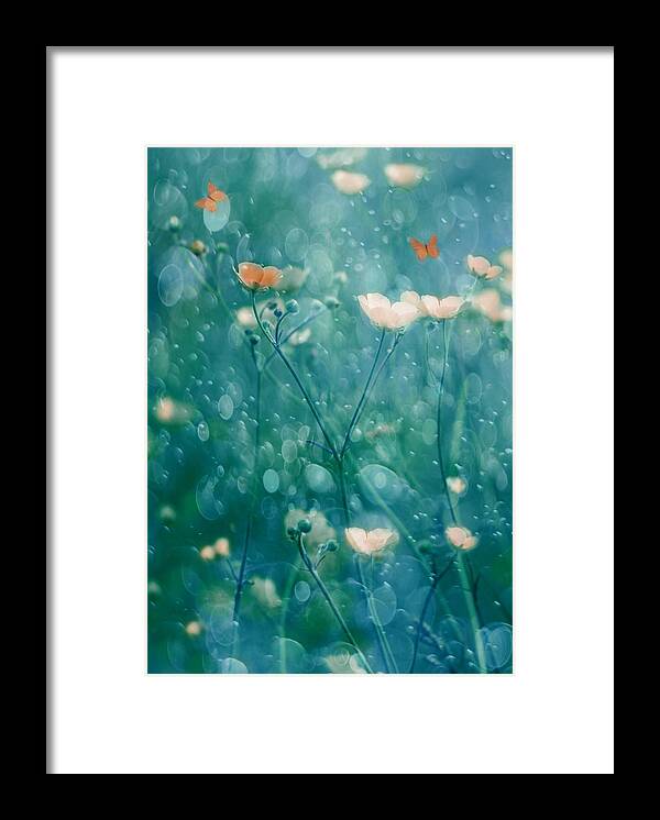Butterfly Framed Print featuring the photograph A Memory Of June by Delphine Devos