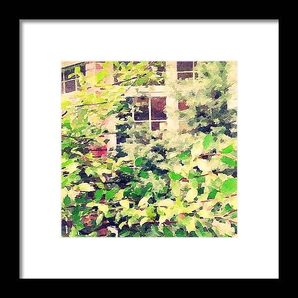 Annasgardens Framed Print featuring the photograph A Natural Screen - Front Bay Window by Anna Porter