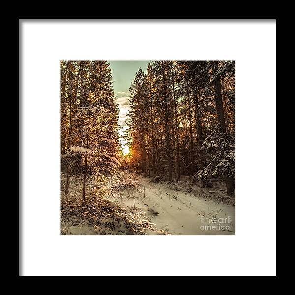 Landscape Framed Print featuring the photograph A new path in your life by Rose-Maries Pictures