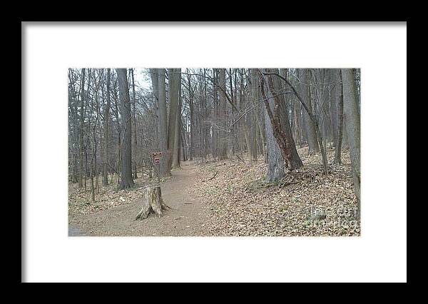 Park Framed Print featuring the photograph A Path to Follow by Margaret Welsh Willowsilk