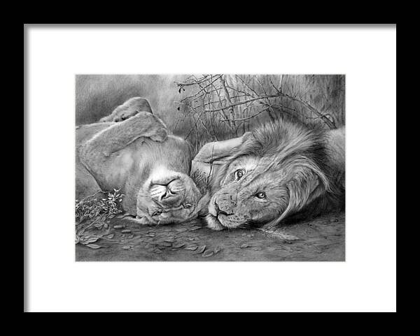 Lion Framed Print featuring the drawing A Place o Be Free by Peter Williams