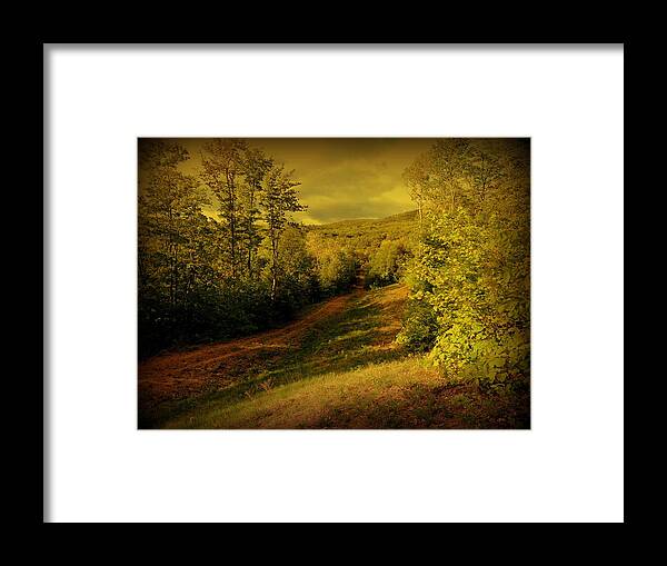 Woods Framed Print featuring the photograph A Road Less Traveled by Mim White