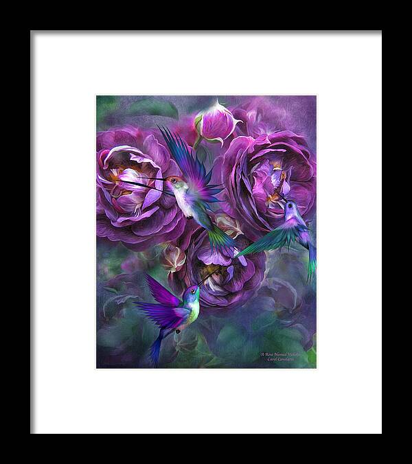 Rose Framed Print featuring the mixed media A Rose Named Violette by Carol Cavalaris