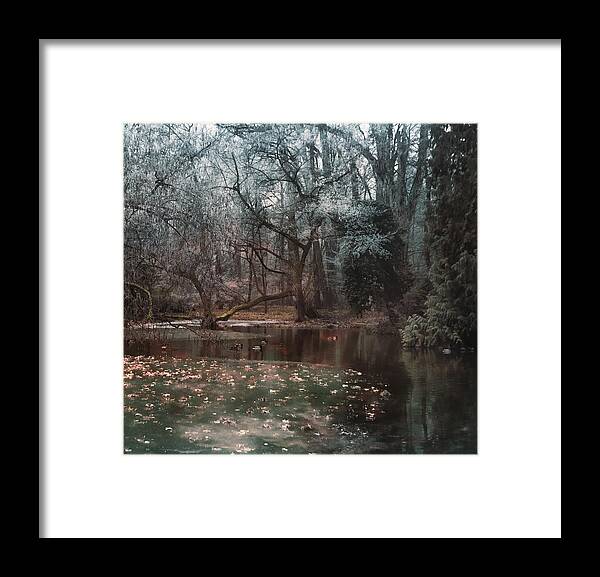 Forest Lake Duck Fairy Tale Framed Print featuring the photograph A secret place under - 2 by Akos Kozari