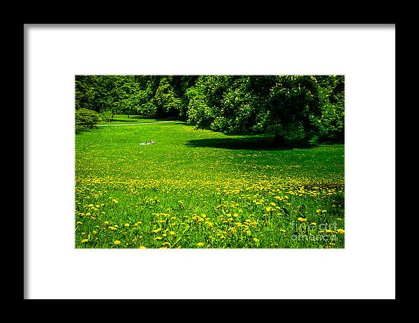 Park Framed Print featuring the photograph A Sunny Day In The Park by Hannes Cmarits