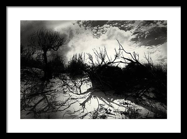 Nature Framed Print featuring the photograph A Symphony Of Light And Shadows by Gerlinde Keating