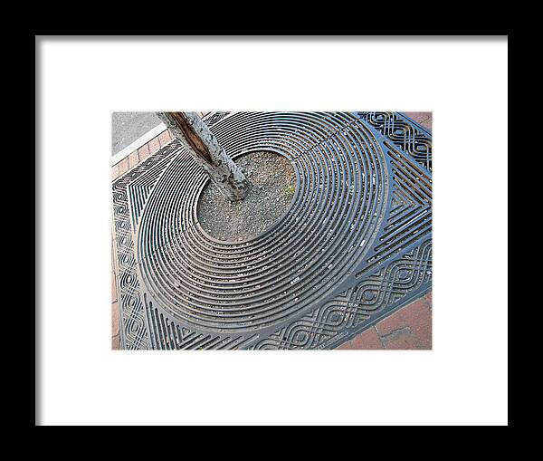 Geometric Framed Print featuring the photograph A Tree Grows in the City by Barbara McDevitt