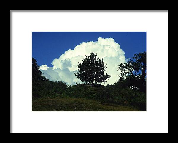 Tree Framed Print featuring the photograph A Tree in a Cloud by Gordon James