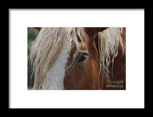 Horse Framed Print featuring the photograph A Trusted Friend by Yvonne Wright
