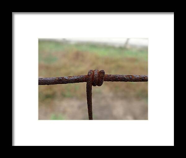 Richard Reeve Framed Print featuring the photograph A Twist of Wire by Richard Reeve