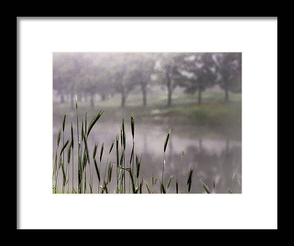 Mist Framed Print featuring the photograph A View in the Mist by Bruce Patrick Smith