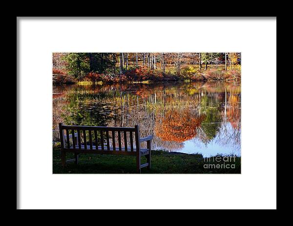 Landscape Framed Print featuring the photograph A View of Wonder by Marcia Lee Jones