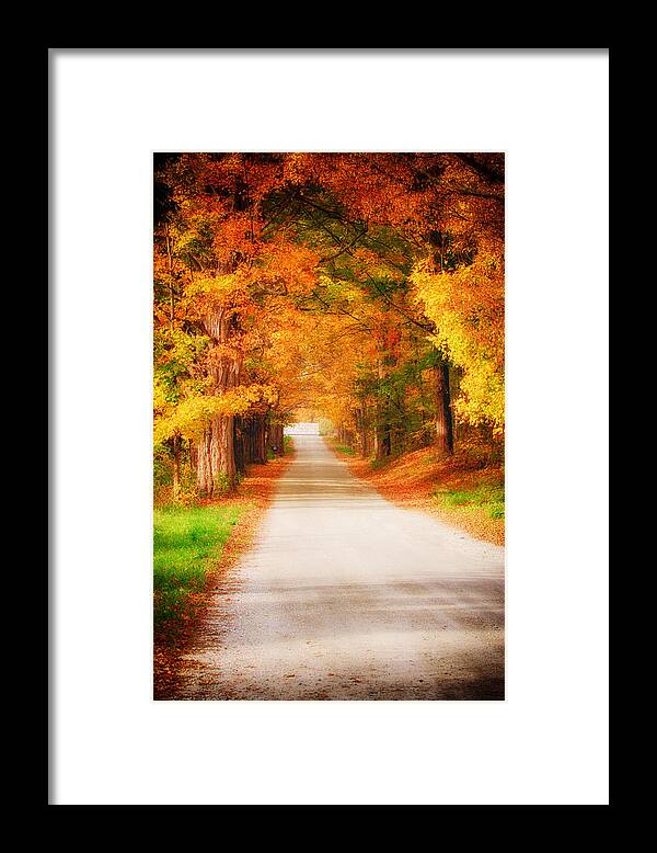 Autumn Foliage New England Framed Print featuring the photograph A walk along the golden path by Jeff Folger