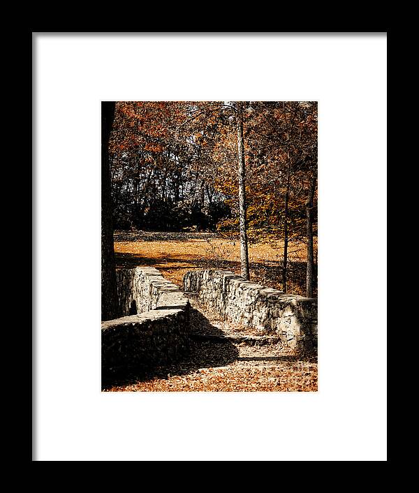 Walk Framed Print featuring the photograph A Walk Along the Old Stone Path by Lincoln Rogers