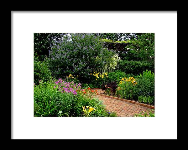Fine Art Framed Print featuring the photograph A Walk For The Senses by Rodney Lee Williams