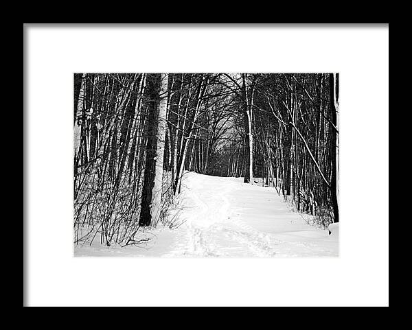 Walk Framed Print featuring the photograph A Walk in Snow by Joe Faherty