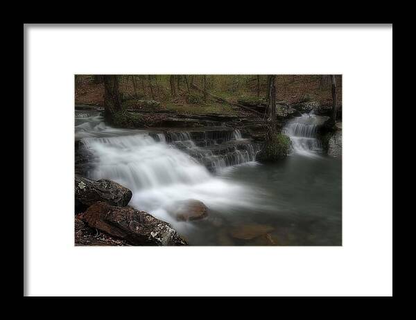 Forest Framed Print featuring the photograph A Walk Through the Forest by Renee Hardison