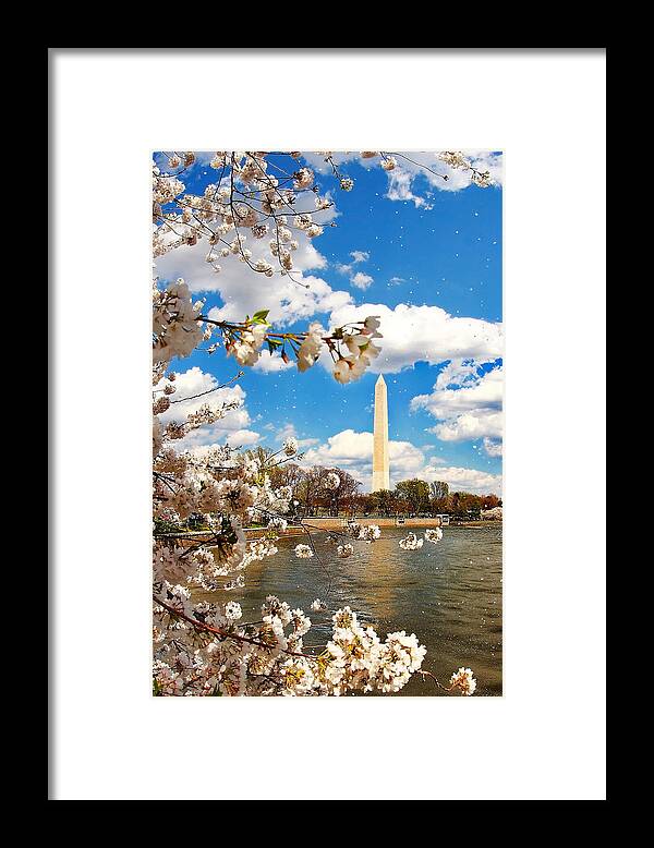 Cherry Blossoms Framed Print featuring the photograph A Warm Breeze of Spring by SCB Captures