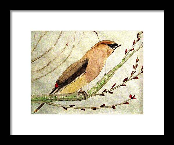 Waxwings Framed Print featuring the painting A Waxwing In The Orchard by Angela Davies