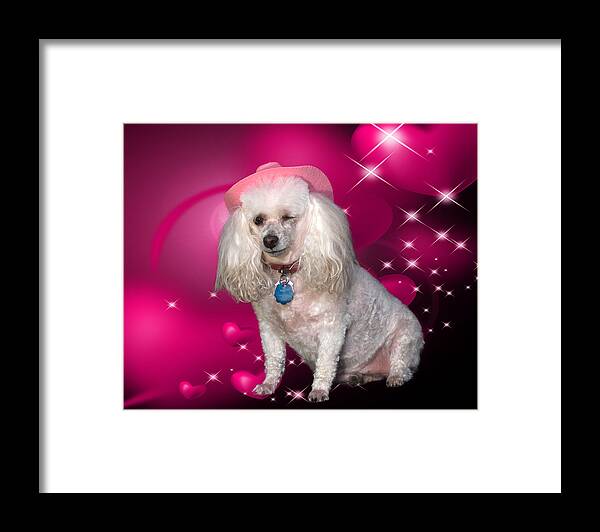 Animals Framed Print featuring the photograph A wink for you by Gary De Capua