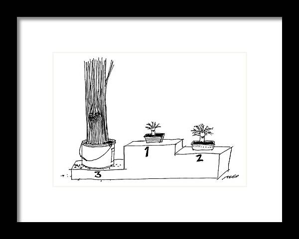 Captionless Framed Print featuring the drawing A Winner's Podium That Features Three Plants by Edward Steed