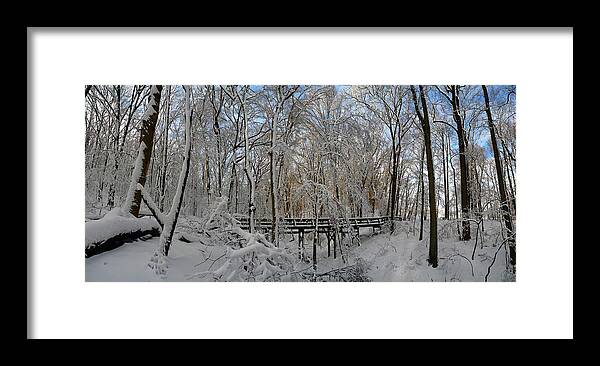 Salani Framed Print featuring the photograph A Winter Scene by Raymond Salani III