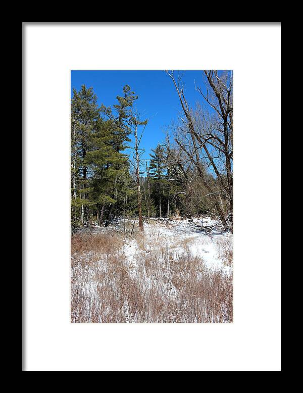 Snow Framed Print featuring the photograph A Winters Walk by Brian Lucia