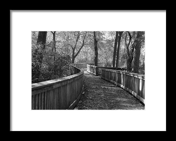 Path Framed Print featuring the photograph A Wooded Path by Nancy De Flon