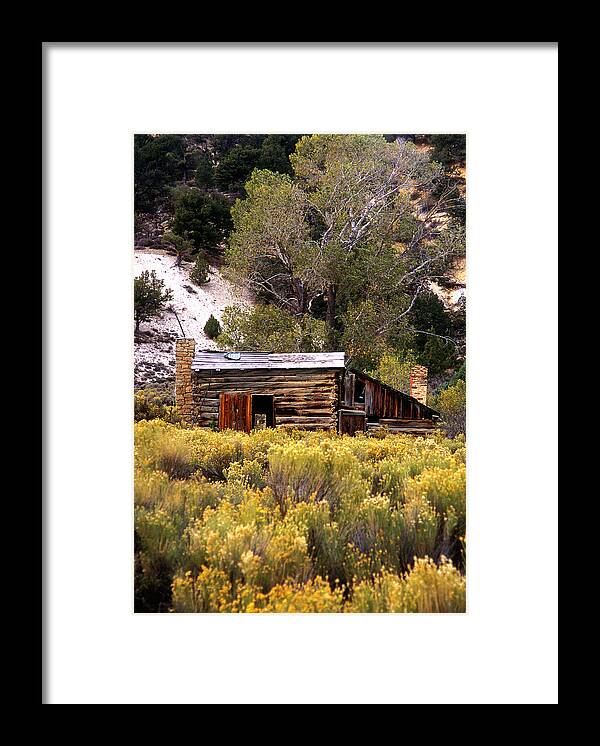 Abandoned_cabin Framed Print featuring the photograph Abandoned Homestead by Martin Sullivan