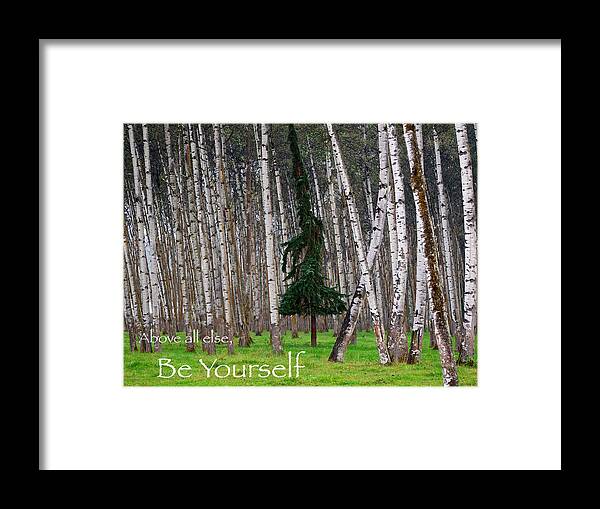 Trees Framed Print featuring the photograph Above All Else Be Yourself by Mary Lee Dereske