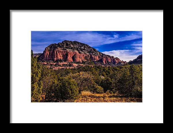 2014 Framed Print featuring the photograph Above It All by Mark Myhaver