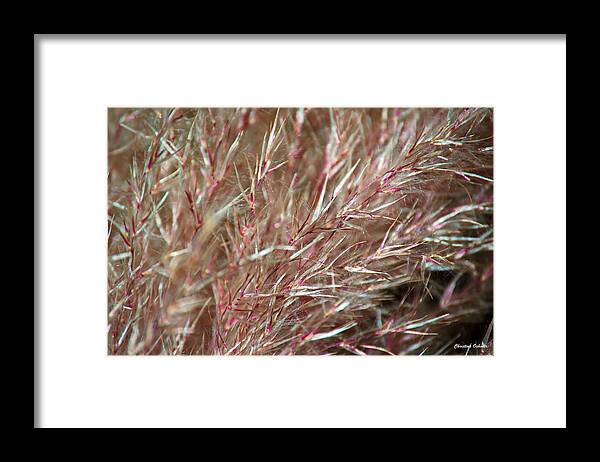 Abstract 3 Framed Print featuring the photograph Abstract 3 by Christina Ochsner