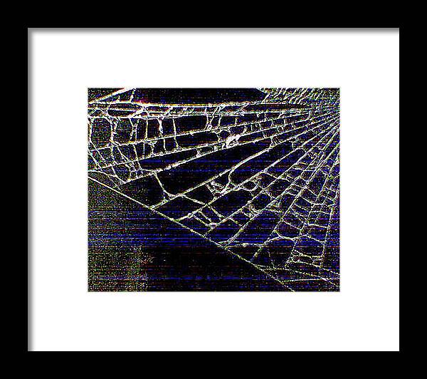 Abstract Framed Print featuring the photograph Abstract - Arachnid View by Richard Reeve