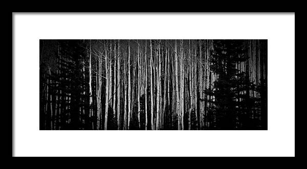 Art Framed Print featuring the photograph Abstract Aspens by Atom Crawford