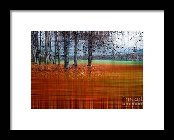 Abstract Framed Print featuring the photograph abstract atumn II by Hannes Cmarits