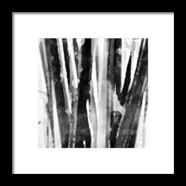 Pencils Framed Print featuring the photograph Abstract Black and White by Niki Crawford