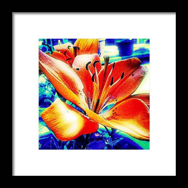 Love Framed Print featuring the photograph Abstract Flower by Chris Drake