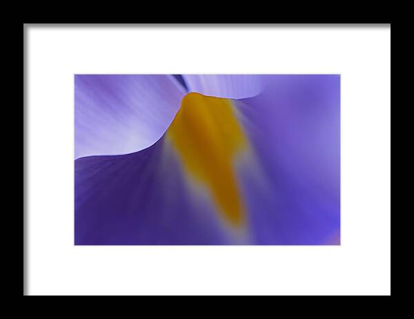 Abstract Framed Print featuring the photograph Abstract Flower by Juergen Roth