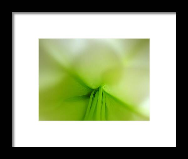 Artwork Framed Print featuring the photograph Abstract Forms in Nature by Juergen Roth