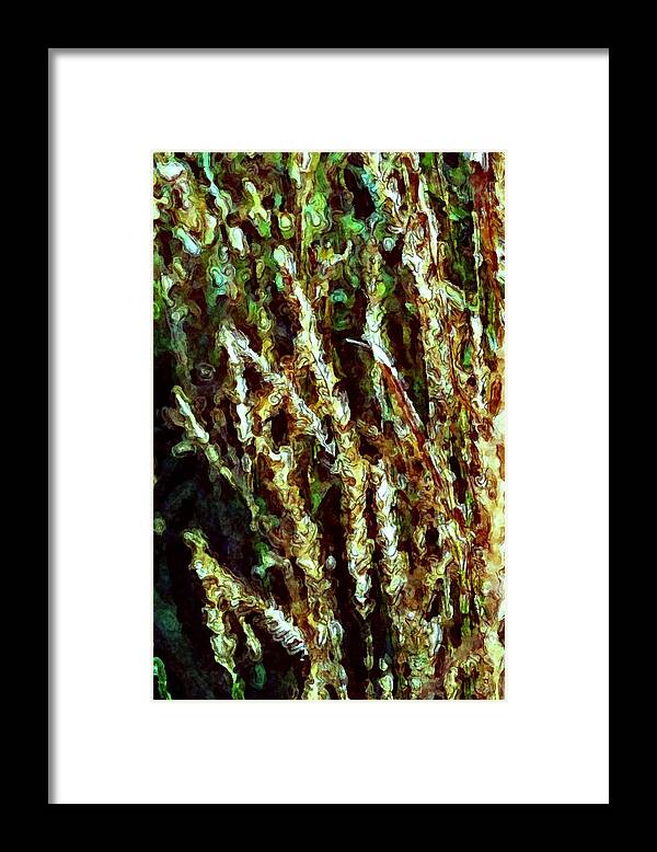 Photography Framed Print featuring the photograph Abstract Oats by Lisa Holland-Gillem