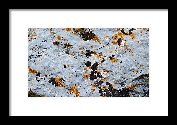 Abstract Framed Print featuring the photograph Abstract Orange Lichen 1 by Chase Taylor