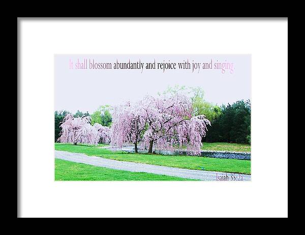 Nature Framed Print featuring the photograph Abundant Blossom by Pamela Hyde Wilson