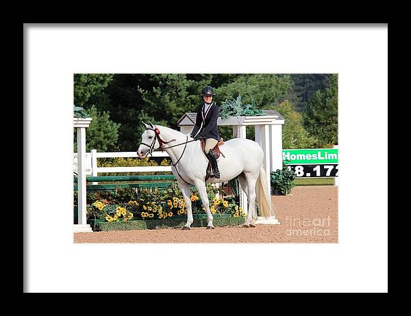 Horse Framed Print featuring the photograph Ac-hunter12 by Janice Byer